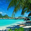 Maldives - obrazek 5